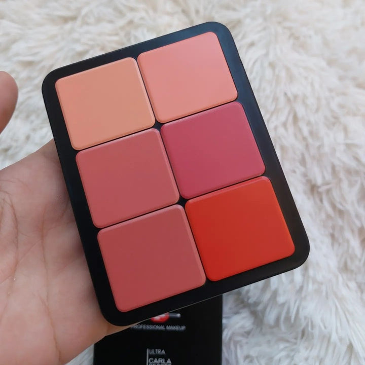 2 in 1 CARLA SECRET CREAM BLUSH AND CONCEALER PALETTE with 12 shades