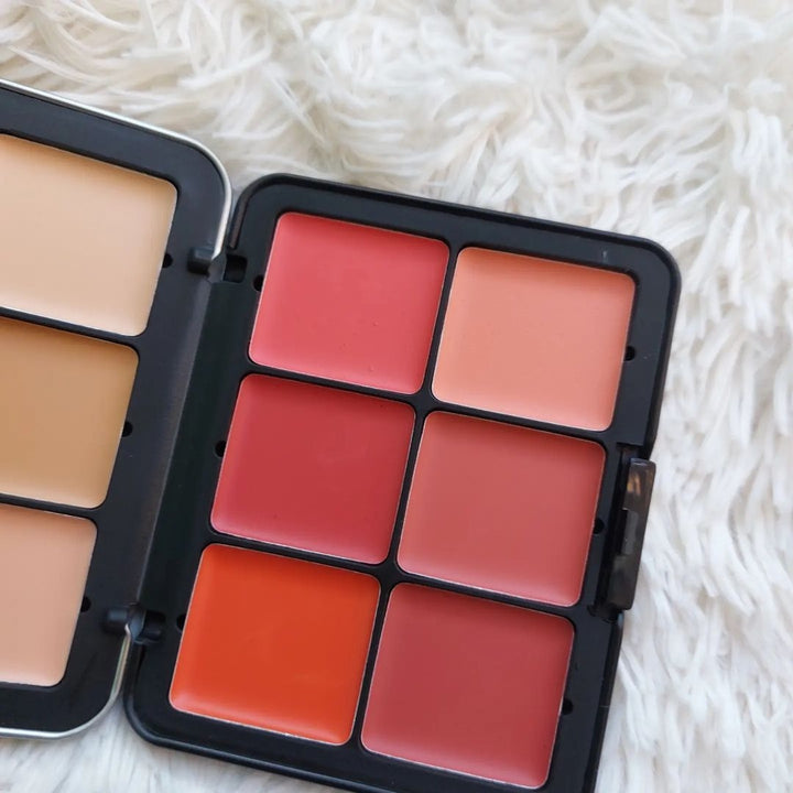 2 in 1 CARLA SECRET CREAM BLUSH AND CONCEALER PALETTE with 12 shades